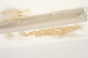 Unhealthy mold damaged ceiling around fluorescent light