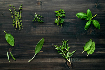 Various of spices and herbs on wooden background. Flat lay spices ingredients rosemary, thyme, oregano, sage leaves and sweet basil on dark wooden.