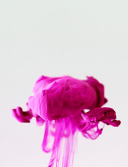 Pink Ink Drop Rose Flower