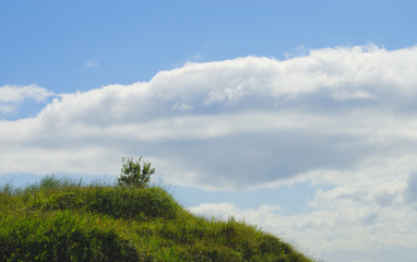 草　空　雲　素材