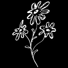 Abstract chamomiles flowers outline icon isolated on black background. Creative luxury fashion logotype concept icon. Hand Drawn vector illustration. Chamomiles logo.