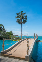 The bridge through the palm trees leads to the sea, the sky and the beautiful nature like heaven.