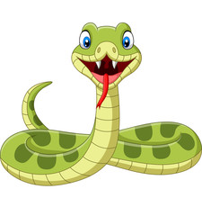 Fototapeta premium Cute green snake cartoon on white background