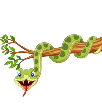 Cartoon green snake on tree branch