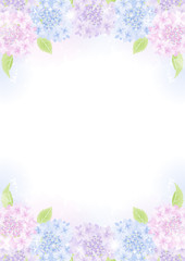 Obraz na płótnie Canvas Colorful pastel colored Hydrangea flower frame background - Vertical