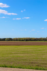 landscape with green field and blue sky