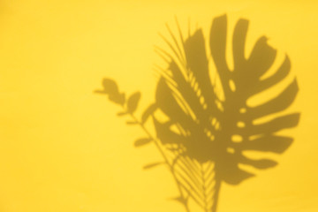 Bright summertime trendy tropical leaf shadows on a yellow background