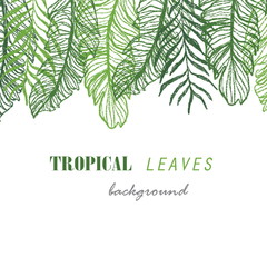 Tropical vector green leaves pattern white background.