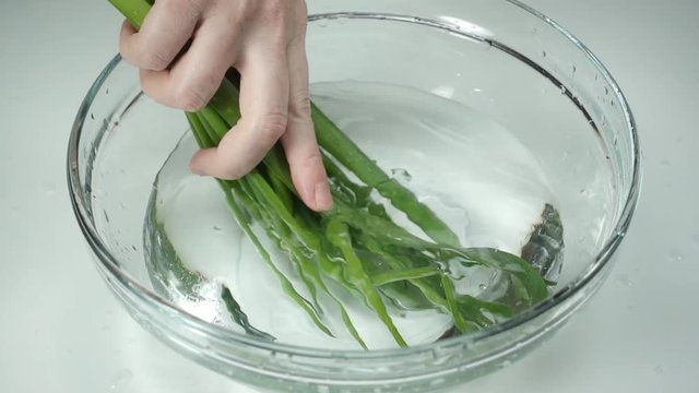 Slow motion, A bunch of green onions in a woman's hand. Female hand washing scallions in a bowl with clean water