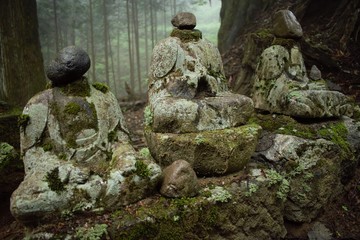 Fototapeta na wymiar Ancient Buddha statues in the forest, Nikko, Japan