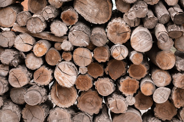 beautifully folded felled round decks of wood. texture