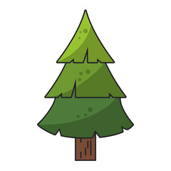 Tree pine cartoon nature isolated