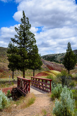 Bridge in the Painted Hills