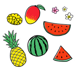 tropical fruits illustration  Hand drawn