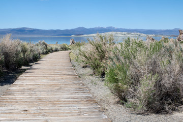 Boardwalk to Mono Lake
