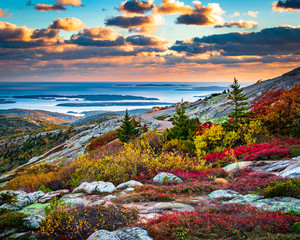 Cadillac Mountain in Acadia National Park in Fall - obrazy, fototapety, plakaty