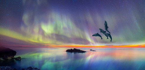 Group of dolphins jumping on the water with - Northern lights in the sky over the calm sea