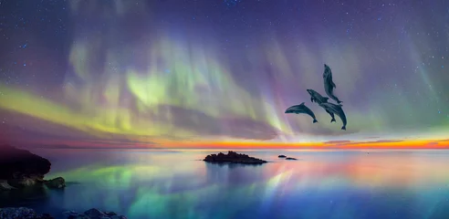 Rolgordijnen Group of dolphins jumping on the water with - Northern lights in the sky over the calm sea © muratart