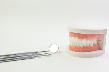 The Tooth model on white background for dental content.