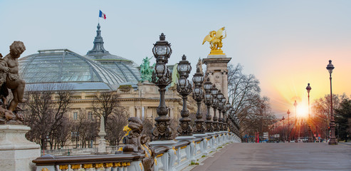 Alexandre III Bridge, Paris France