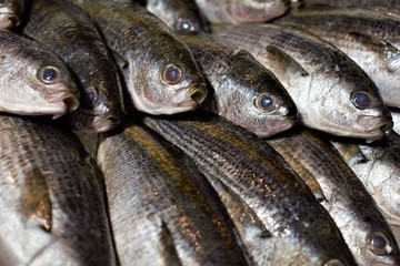 Fresh fish at Tsukiji fish market in central Tokyo, Japan