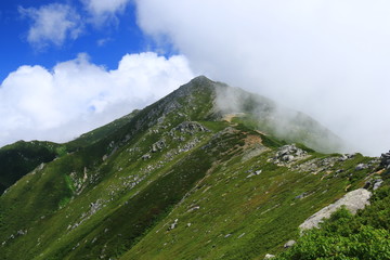 	中央アルプス縦走 三沢岳