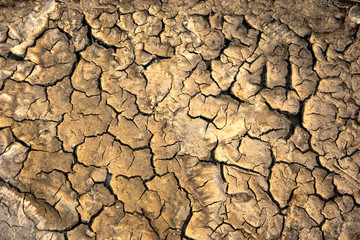Colorful dry soil surface with deep black cracks