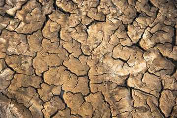 Colorful dry soil surface with deep black cracks