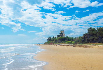 Pineto (Italy) - The touristic sandy beach of Abruzzo with the monumental pine forest and the famous tower castle called Torre di Cerrano