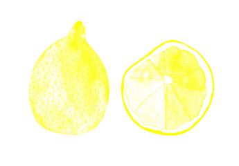 Yellow watercolor lemon, whole and cut, isolated on white.