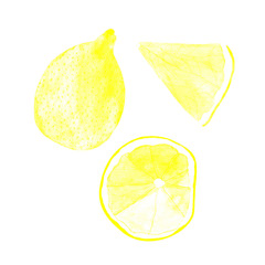 set of yellow lemons: a whole fruit and slices, painted in watercolor, isolated on white.