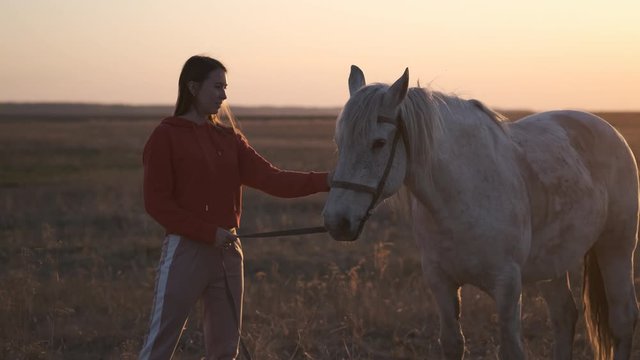 Girl and horse are standing among the dried grass with endless fields at sunset