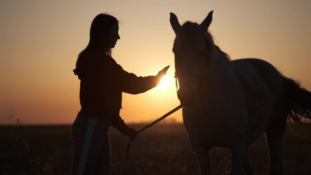 Sun sets over the horizon silhouette of a girl slowly stroking horse in the face