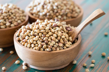 Organic Dried coriander seeds in wooden bowl with spoon on colored rustic background.