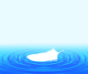 水面に浮かぶ白い羽根