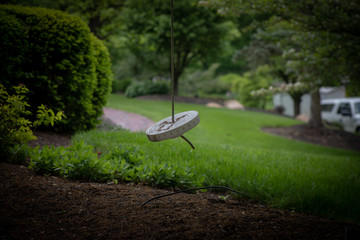 swing