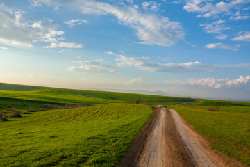 Fototapeta premium road in the field