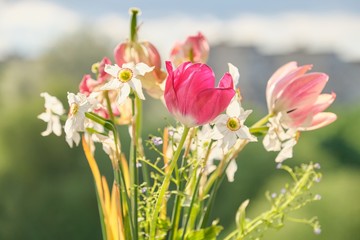 Bouquet of spring flowers tulips and white daffodils in vase on the window