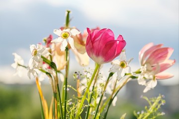 Bouquet of spring flowers tulips and white daffodils in vase on the window