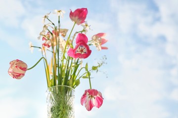 Bouquet of spring flowers tulips and white daffodils in vase on the window