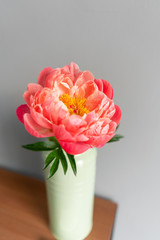 Coral pion in a metal vase. Beautiful peony flower for catalog or online store. Floral shop concept . Beautiful fresh cut bouquet. Copy space. Flowers delivery