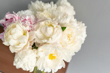 Obraz na płótnie Canvas White peonies in a metal vase. Beautiful peony flower for catalog or online store. Floral shop concept . Beautiful fresh cut bouquet. Flowers delivery