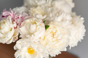 White peonies in a metal vase. Beautiful peony flower for catalog or online store. Floral shop concept . Beautiful fresh cut bouquet. Flowers delivery