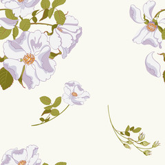 floral background with beautiful white wild rose scattered random