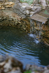 reflection in water