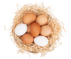Assorted chicken, hens eggs in one basket isolated on white. Different colors: brown white and speckled.