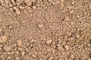 Brown garden soil texture or background