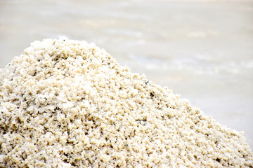 Salt farm made with sea water in Thailand