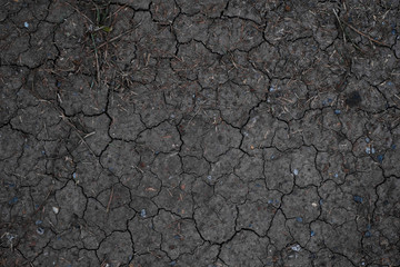 Dry land or dry soil. Cracked ground background.