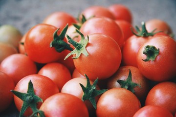 Close up small red tomatoes harvest